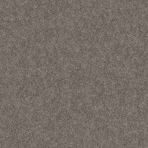 GRAND OUTLOOK by Shaw Floors - Worn Path