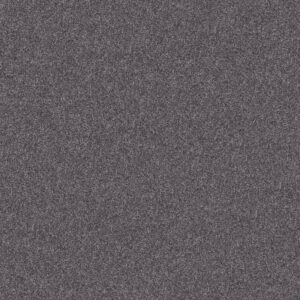 INLET SHORE 1 15' by Shaw Floors - Rod Iron