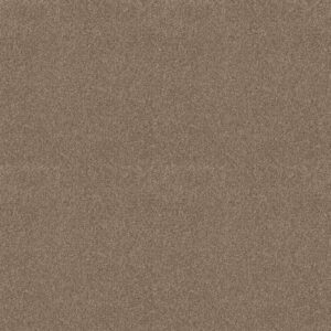 COMFORTING I by Shaw Floors - Riverbank