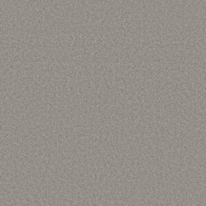 DEL RIO II by Shaw Floors - Grey Fox