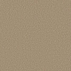 PRESCOTT VALLEY by Shaw Floors - Potter'S Clay