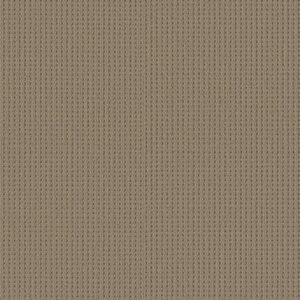 SAN ANTONIO by Shaw Floors - Latte