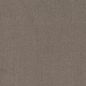 CEDAR CITY by Shaw Floors - Arrowhead