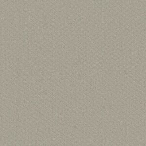 MIDLAND CHARM by Shaw Floors - Quiet Moment