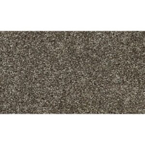 Tonal Allure II by Mohawk - Portobello