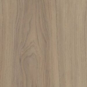 Frontier Plus by Shaw Floors - Lighthouse