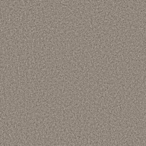 SOFT RADIANCE by Shaw Floors - Overcast
