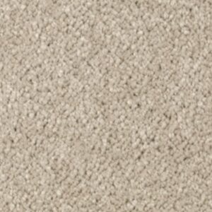 Natural Splendor I by Mohawk - Sand Dollar