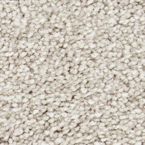 Exceptional Choice by Mohawk - Knubby Wool