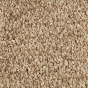 Tonal Chic I by Mohawk - Wild Cattail