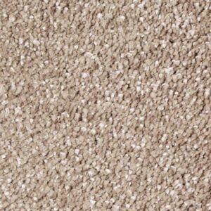Exquisite Shades by Mohawk - Plantation