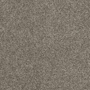 HOLLYWOOD by Dreamweaver - Baltic Birch 622
