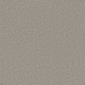 CEDAR CREEK by Dreamweaver - Silver Birch 800