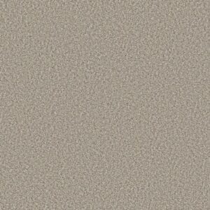 PRESCOTT VALLEY by Shaw Floors - Misty Dawn