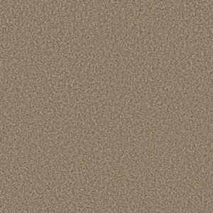 PRESCOTT VALLEY by Shaw Floors - Roasted