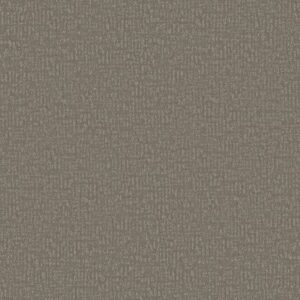 CLEVER DESIGN by Shaw Floors - Fallen Acorn