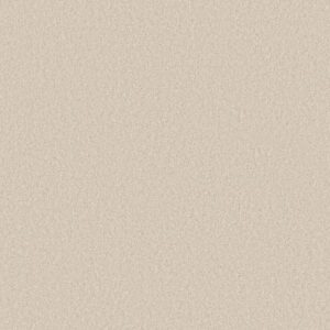 LAS CRUCES by Shaw Floors - Breeze
