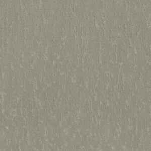 CALM EXPRESSION by Shaw Floors - Organic Grown