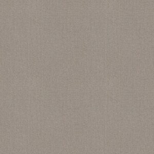 SIERRA VISTA by Shaw Floors - Etched Glass