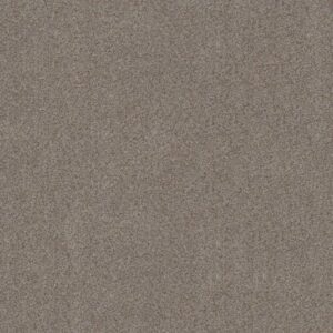 CANYON LAKE by Shaw Floors - Distant Star