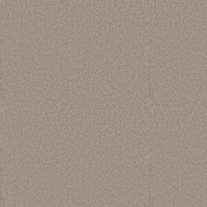 ELEVATED III by Shaw Floors - Dawn Beige