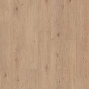 FRESH TAKE by Shaw Floors - Occasional Beige