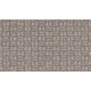 Quality Space by Mohawk - Rough Stone