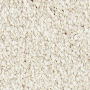 Exceptional Choice by Mohawk - Balsam Beige
