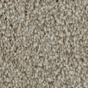Polished Shades II by Mohawk - Frosted Honey