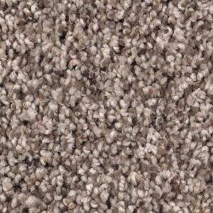 Soft Sensations II by Mohawk - Antique Earth