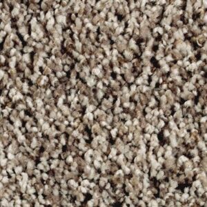 Softly Elegant II by Mohawk - Dried Peat