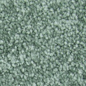 Memorable View by Mohawk - Aloe