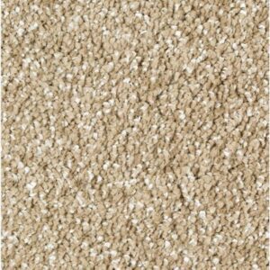 Exquisite Shades by Mohawk - Timeless