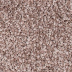 Soft Comfort by Mohawk - Earth Tone