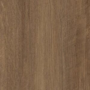 Frontier Plus by Shaw Floors - Tawny Oak