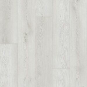Paladin Plus by Shaw Floors - Feather Grey