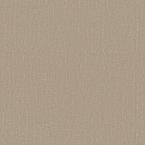 ENDLESS MEMORIES by Shaw Floors - Walk On The Beach