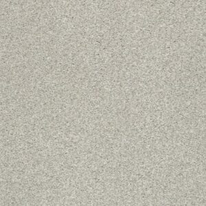 TONAL COMFORT II by Shaw Floors - Shoreline Haze