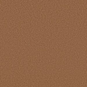 TONAL COMFORT II by Shaw Floors - Sunrise