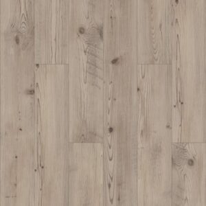 Allegiance + Acc by Shaw Floors - Prestique Pine