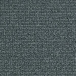 FAST LANE by Shaw Floors - Azure