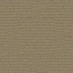 FAST LANE by Shaw Floors - Prairie
