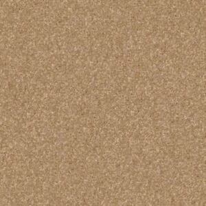 QUIET COMFORT CLASSIC I by Shaw Floors - Brass Lantern