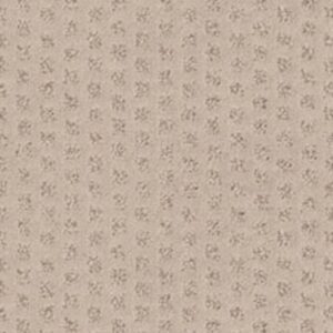 MY EXPRESSION by Shaw Floors - Fawn