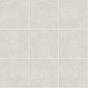 Resolve 6x6 by Shaw Floors - Solace