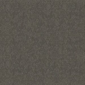 BOUNDLESS II by Shaw Floors - Shadow