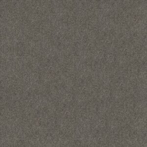 BOUNDLESS III by Shaw Floors - Magnetic