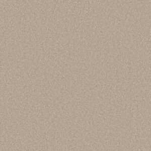 HARMONIOUS II by Shaw Floors - Sandstone