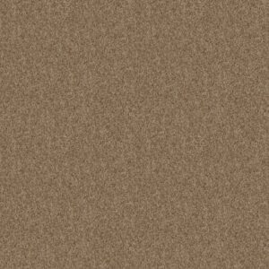 BURTONVILLE by Shaw Floors - Sierra Hills