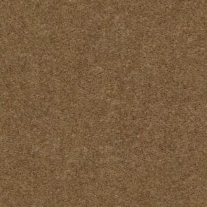 THIS IS IT PLUS by Shaw Floors - Mink